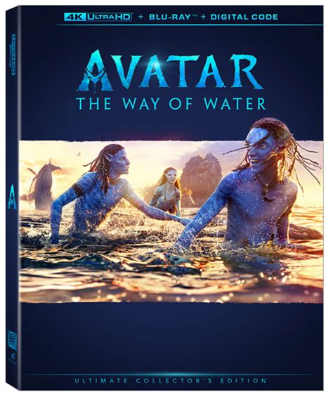 avatar the way of water on dvd|Avatar